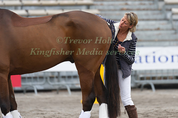 Mary King puts the finishing touches to Imperial Cavalier before Trot Up