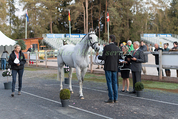 Mark TODD (NZL) AND KILTUBRID RHAPSODY