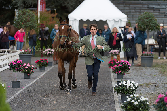 TOM MCEWEN (GBR) AND TOLEDO DE KERSER