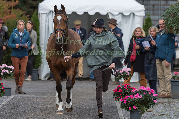 VIRGINIA HOWE (GBR) AND UNDALGO DE WINDSOR