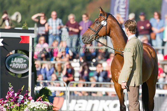 Willim Fox-Pitt and Parklane Hawk