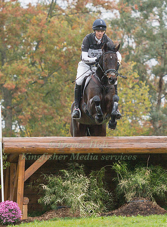 WILLIAM FOX - PITT AND LITTLE FIRE