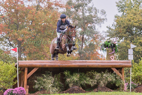 TIM PRICE AND FALCO