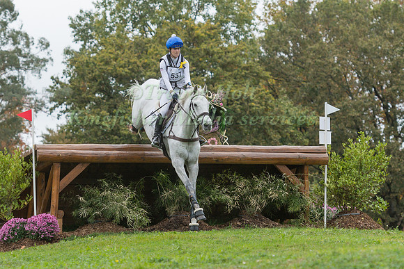 AILSA  WATES AND WOODLANDS PERSUASION