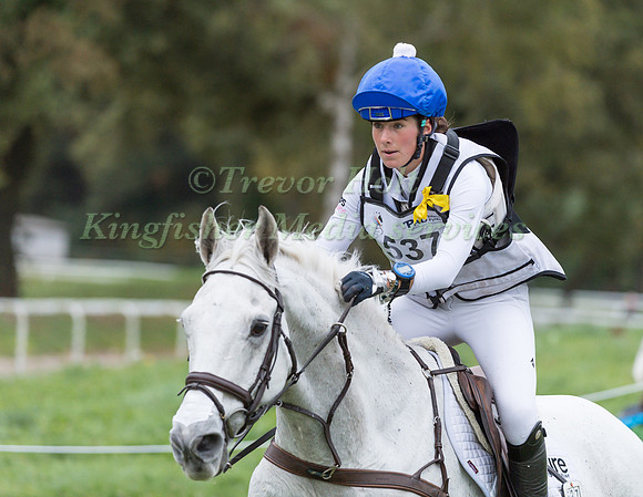 AILSA  WATES AND WOODLANDS PERSUASION