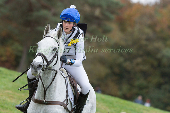 AILSA  WATES AND WOODLANDS PERSUASION