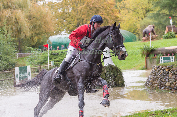DAVID DOEL AND GALILEO NIEUWMOED