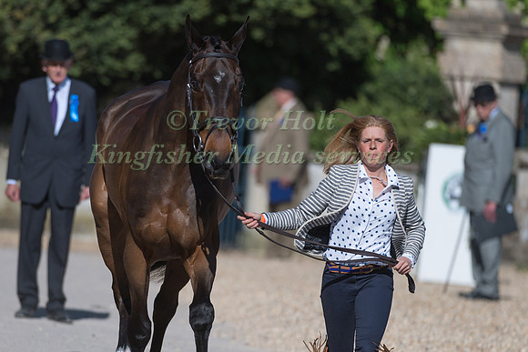 ROSALIND CANTER  (GBR) AND  ALLSTAR B