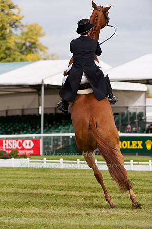 Andrew Nicholson and Armada