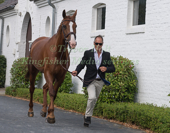 BLYTH TAIT (NZL) AND HAVANNA