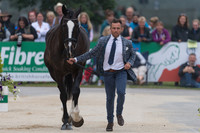 BEN HOBDAY (GBR) AND HARELAW WIZARD