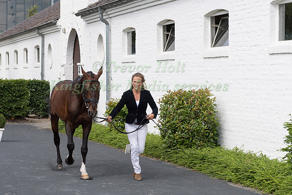 LARA DE LIEDEKERKE (BEL) AND AVEROUGE DES QUATRE CHENES-2