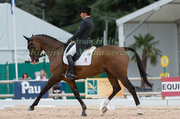 Albert Hermoso Farras (ESP) riding Nereo CP