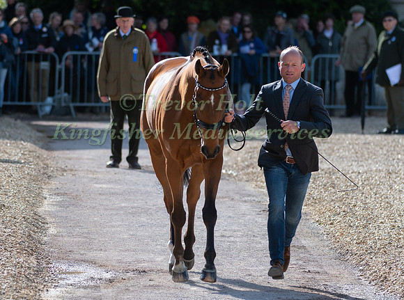 MICHAEL JUNG GER) AND  LA BIOSTHETIQUE - SAM FBW