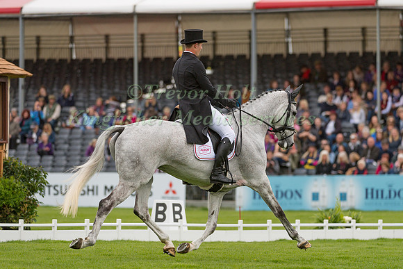 WILL FURLONG (GBR) RIDING  COLLIEN P 2
