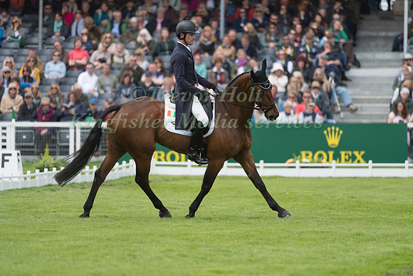JOSEPH MURPHY (IRL) RIDING  SPORTSFIELD OTHELLO