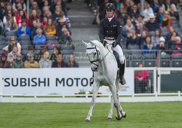 PAUL TAPNER (AUS) RIDING  BONZA KING OF ROUGES