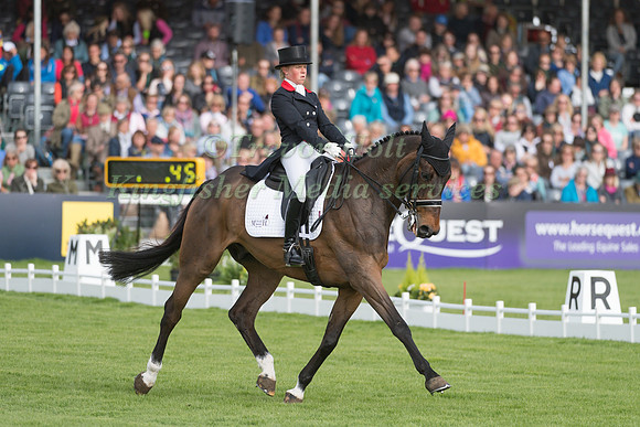 ROSALIND CANTER  (GBR) RIDING  ALLSTAR B