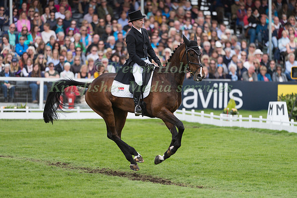 CIARAN GLYNN  (IRL) RIDING  NOVEMBER NIGHT