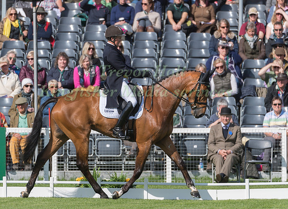 TOM MCEWEN (GBR) RIDING  TOLEDO DE KERSER