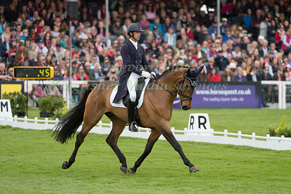 WILLIAM COLEMAN (USA) RIDING  OBOS O'REILLY