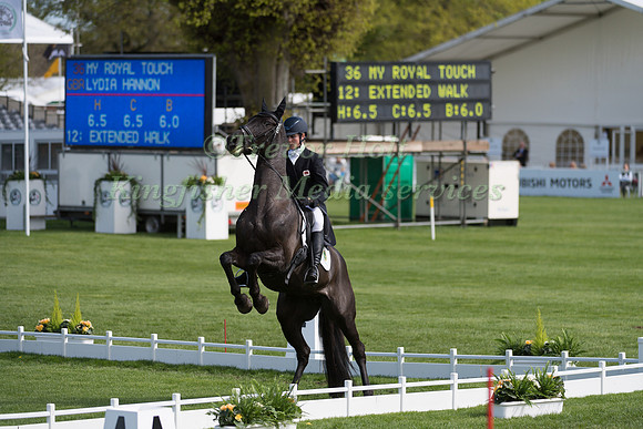 LYDIA HANNON (GBR) RIDING  MY ROYAL TOUCH