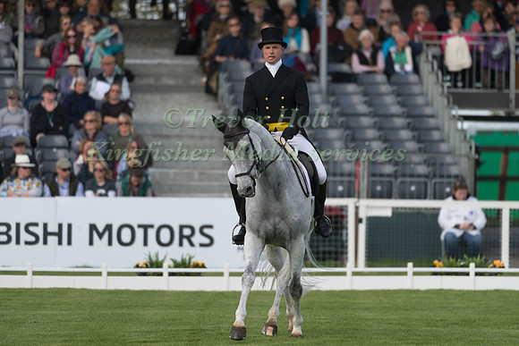 HARRY DZENIS (GBR) RIDING  XAM