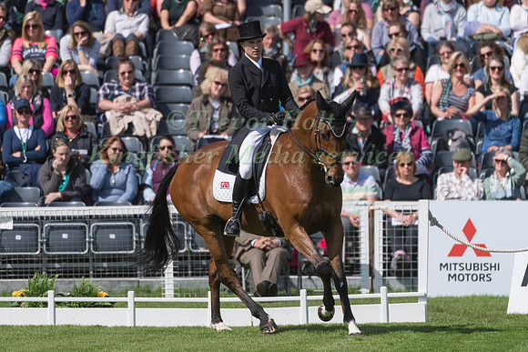 CIARAN GLYNN (IRL) RIDING  KILLOSSERY JUPITER RISING