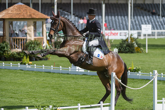 DENIS MESPLES (FRA) RIDING  OREGON DE LA VIGNE