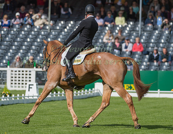 ANDREW NICHOLSON (NZL) RIDING  NEREO