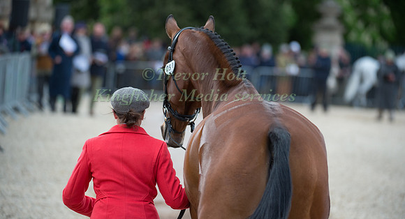 Jeanette Brakewell (GBR) and Lets Dance