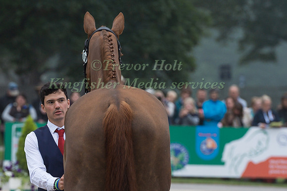 THIBAULT  FOURNIER (FRA) AND SINIANI DE LATHUS