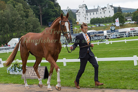Tim Lips and Trademark
