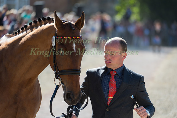 Michael Jung of Germany  and La Biosthetique - Sam FBW
