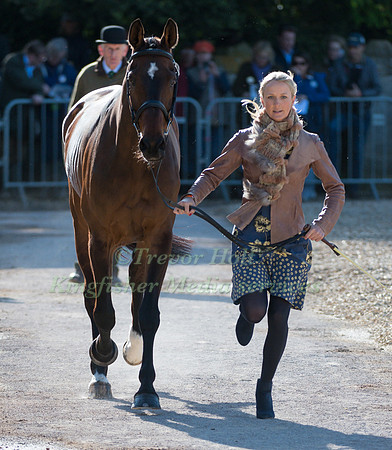 LISSA GREEN  (GBR) AND  HOLLYFIELD