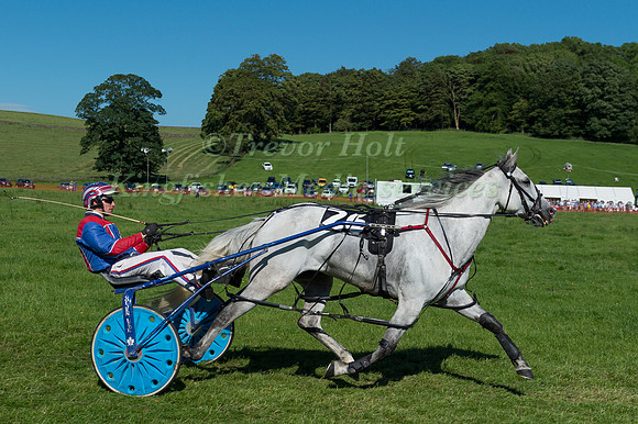 Harness racing at Helifield , Yorkshire