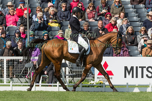 Dominic Furnell (IRL) riding Ballycahane Flower Power in the Dressage phase  of  the 2017 Mitsubishi Motors  Badminton Horse Trials