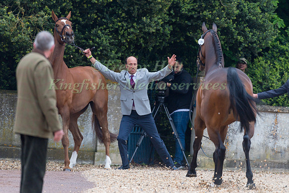 Tim Price (NZL)  tries to stop Springpower running back to the stables after escaping from Izzy Taylor at the 2019 Mitsubishi Motors Badminton Horse Trials.
