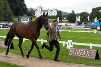 Sam Watson of Ireland with Horseware Lukeswell