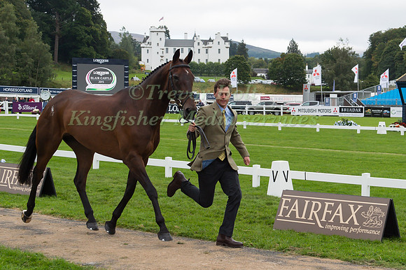 Sam Watson of Ireland with Horseware Lukeswell