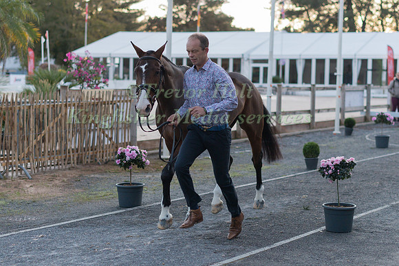Jonty EVANS (IRL) AND COOLEY RORKES DRIFT