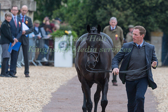 Oliver Townend (GBR) and  Cillnabradden Evo