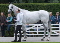 JOSEPH  MURPHY (IRL) AND FERNHILL FRANKIE II