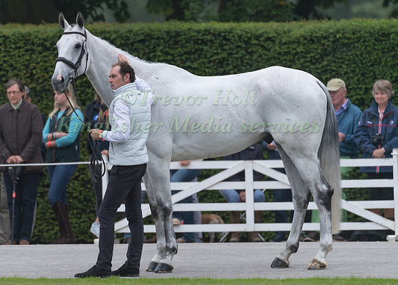 JOSEPH  MURPHY (IRL) AND FERNHILL FRANKIE II
