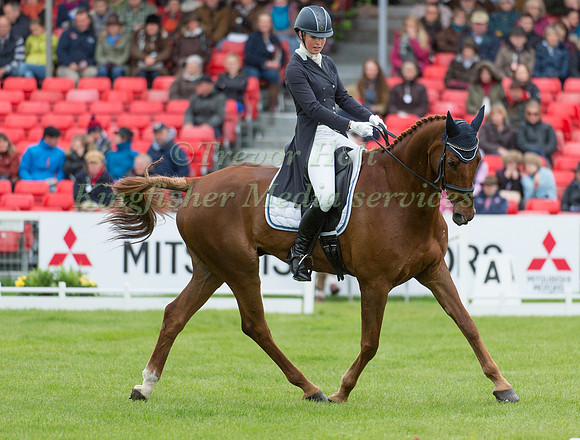 Emily Llewellyn (GBR) riding Greenlawn Sky High