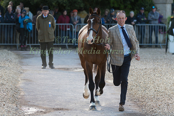JONTY EVANS (IRL) AND  COOLEY RORKES DRIFT