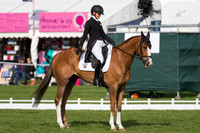EMILY KING (GBR) RIDING  DARGUN COMPETING IN THE  DRESSAGE PHASE OF THE  CIC THREE STAR COMPETITION AT THE  2017 DODSON AND HORRELL  CHATSWORTH INTERNATIONAL HORSE TRIAL.