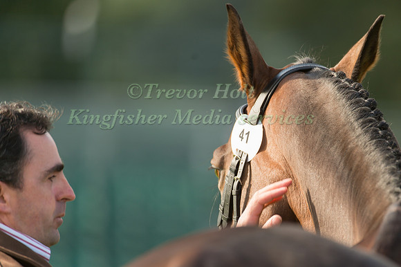 Alan Nolan (IRL) and  Bronze Flight