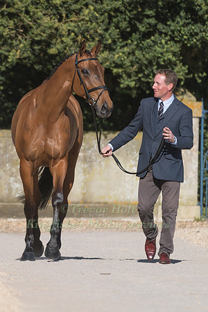 OLIVER TOWNEND  (GBR) AND  COOLEY SRS