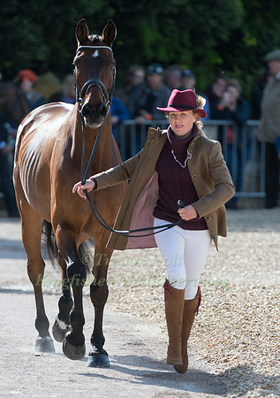 KATE HONEY  (GBR) AND  FERNHILL NOW OR NEVER